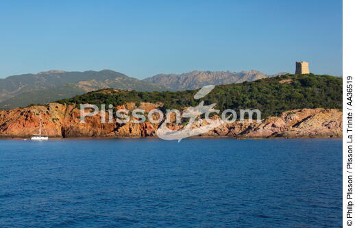 I^le de Pinarellu, Corse - © Philip Plisson / Plisson La Trinité / AA36519 - Nos reportages photos - La France vue de la mer