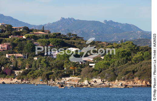 San Ciprianu, Corsica - © Philip Plisson / Plisson La Trinité / AA36523 - Photo Galleries - From Bastia to Santa Manza gulf