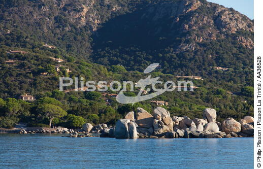 Palombaggia, Corsica - © Philip Plisson / Plisson La Trinité / AA36528 - Photo Galleries - From Bastia to Santa Manza gulf