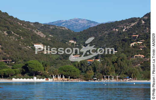 Palombaggia, Corsica - © Philip Plisson / Plisson La Trinité / AA36529 - Photo Galleries - From Bastia to Santa Manza gulf