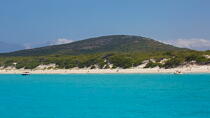 Saleccia beach, Corsica © Philip Plisson / Plisson La Trinité / AA36537 - Photo Galleries - Coastal landscape