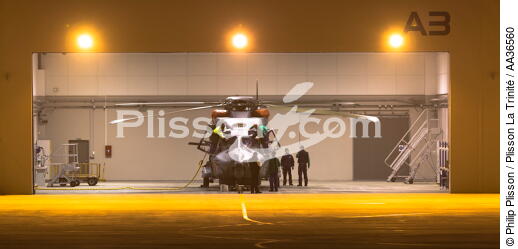 La flottille 33F - © Philip Plisson / Plisson La Trinité / AA36560 - Photo Galleries - Military helicopter