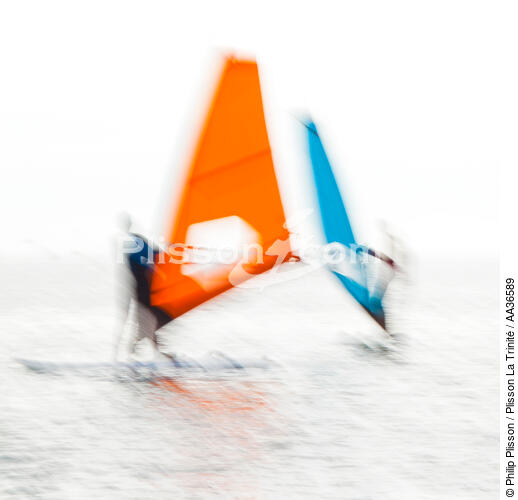 Boards sails [AT] - © Philip Plisson / Plisson La Trinité / AA36589 - Photo Galleries - Sport and Leisure