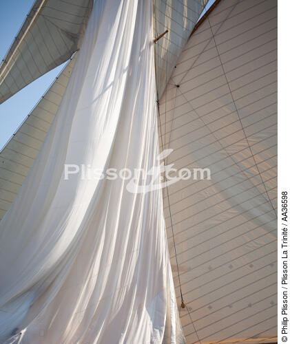 Classic week sails - © Philip Plisson / Plisson La Trinité / AA36598 - Photo Galleries - Monohull