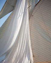 Classic week sails © Philip Plisson / Plisson La Trinité / AA36598 - Photo Galleries - Monohull