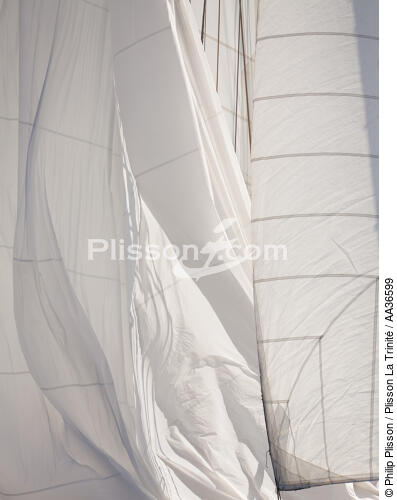 Les voiles de la classic week - © Philip Plisson / Plisson La Trinité / AA36599 - Nos reportages photos - Terme marin