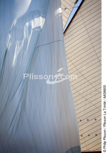 Les voiles de la classic week - © Philip Plisson / Plisson La Trinité / AA36600 - Nos reportages photos - Yachting