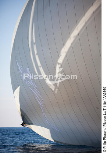 Classic week sails - © Philip Plisson / Plisson La Trinité / AA36601 - Photo Galleries - Marine Decoration