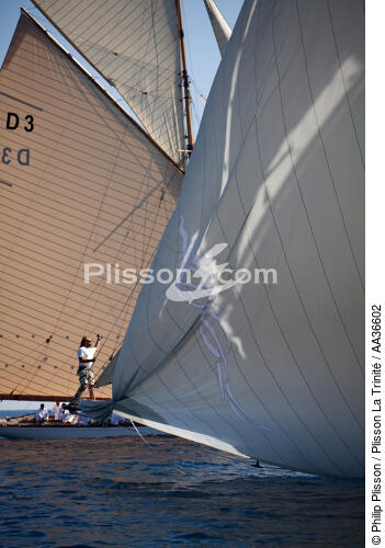 Classic week sails - © Philip Plisson / Plisson La Trinité / AA36602 - Photo Galleries - J Class yacht