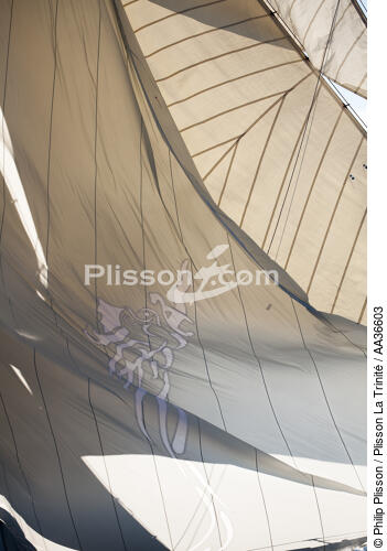 Classic week sails - © Philip Plisson / Plisson La Trinité / AA36603 - Photo Galleries - J Class yacht