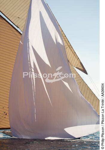 Classic week sails - © Philip Plisson / Plisson La Trinité / AA36604 - Photo Galleries - Vertical