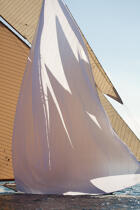 Classic week sails © Philip Plisson / Plisson La Trinité / AA36604 - Photo Galleries - Monohull