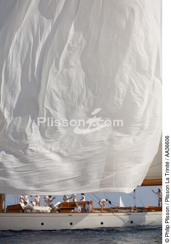Les voiles de la classic week - © Philip Plisson / Plisson La Trinité / AA36606 - Nos reportages photos - Déco Marine