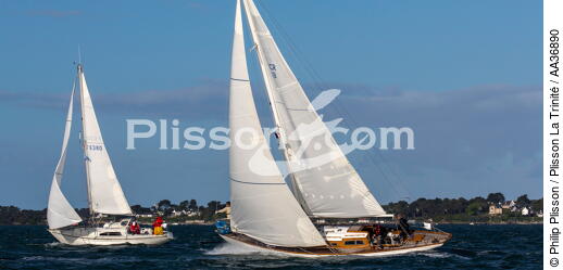 La Semaine du Golfe 2013 - © Philip Plisson / Plisson La Trinité / AA36890 - Photo Galleries - Traditional sailing