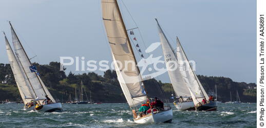 La Semaine du Golfe 2013 - © Philip Plisson / Plisson La Trinité / AA36891 - Nos reportages photos - Morbihan [Golfe du]
