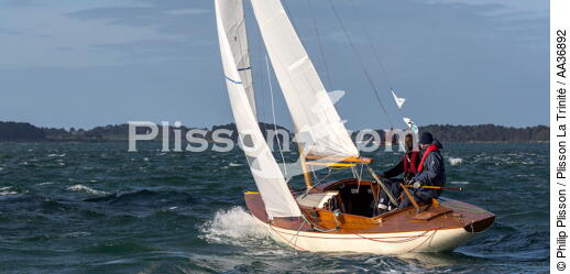 La Semaine du Golfe 2013 - © Philip Plisson / Plisson La Trinité / AA36892 - Photo Galleries - Traditional sailing