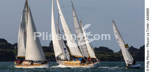 La Semaine du Golfe 2013 - © Philip Plisson / Plisson La Trinité / AA36895 - Photo Galleries - Sailing boat
