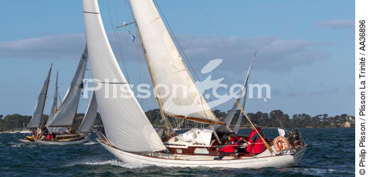 La Semaine du Golfe 2013 - © Philip Plisson / Plisson La Trinité / AA36896 - Photo Galleries - Sailing boat