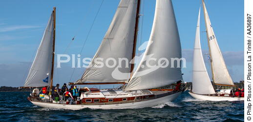 La Semaine du Golfe 2013 - © Philip Plisson / Plisson La Trinité / AA36897 - Photo Galleries - Sailing boat