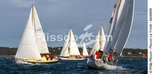 La Semaine du Golfe 2013 - © Philip Plisson / Plisson La Trinité / AA36899 - Photo Galleries - Sailing boat