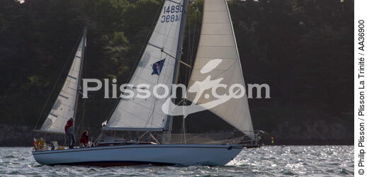 La Semaine du Golfe 2013 - © Philip Plisson / Plisson La Trinité / AA36900 - Photo Galleries - Sailing boat