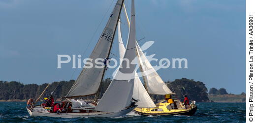 La Semaine du Golfe 2013 - © Philip Plisson / Plisson La Trinité / AA36901 - Nos reportages photos - Rassemblement