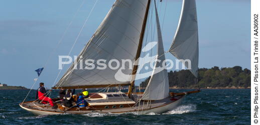 La Semaine du Golfe 2013 - © Philip Plisson / Plisson La Trinité / AA36902 - Photo Galleries - Sailing boat