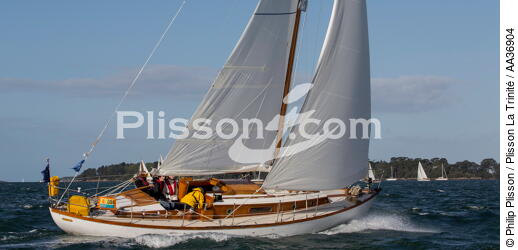 La Semaine du Golfe 2013 - © Philip Plisson / Plisson La Trinité / AA36904 - Photo Galleries - Sailing boat