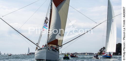 La Semaine du Golfe 2013 - © Philip Plisson / Plisson La Trinité / AA36907 - Photo Galleries - Traditional sailing