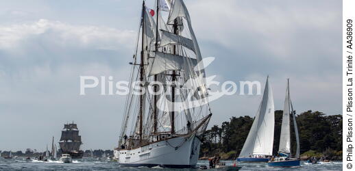 La Semaine du Golfe 2013 - © Philip Plisson / Plisson La Trinité / AA36909 - Photo Galleries - Sailing boat