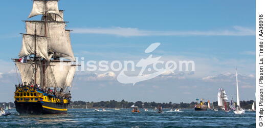 La Semaine du Golfe 2013 - © Philip Plisson / Plisson La Trinité / AA36916 - Photo Galleries - Sailing boat