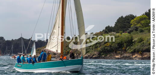 La Semaine du Golfe 2013 - © Philip Plisson / Plisson La Trinité / AA36918 - Photo Galleries - Traditional sailing