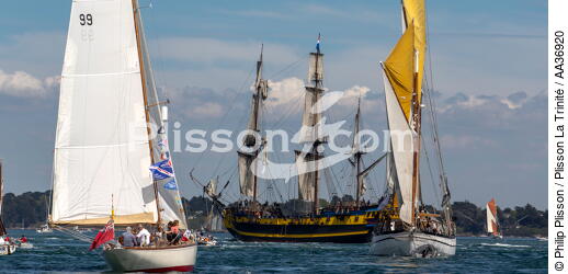 La Semaine du Golfe 2013 - © Philip Plisson / Plisson La Trinité / AA36920 - Photo Galleries - Traditional sailing