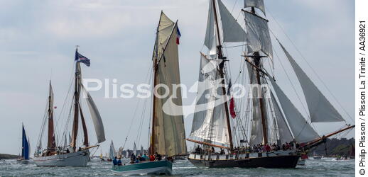 La Semaine du Golfe 2013 - © Philip Plisson / Plisson La Trinité / AA36921 - Nos reportages photos - Morbihan [Golfe du]