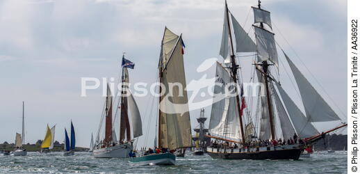 La Semaine du Golfe 2013 - © Philip Plisson / Plisson La Trinité / AA36922 - Photo Galleries - Sailing boat