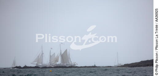 La Semaine du Golfe 2013 - © Philip Plisson / Plisson La Trinité / AA36925 - Photo Galleries - Plage de Donnant