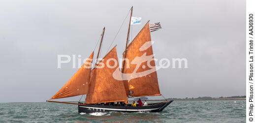 La Semaine du Golfe 2013 - © Philip Plisson / Plisson La Trinité / AA36930 - Photo Galleries - Traditional sailing