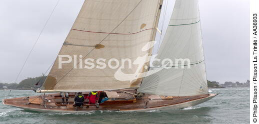 La Semaine du Golfe 2013 - © Philip Plisson / Plisson La Trinité / AA36933 - Photo Galleries - Traditional sailing