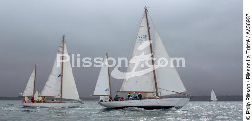 La Semaine du Golfe 2013 - © Philip Plisson / Plisson La Trinité / AA36937 - Photo Galleries - Sailing boat