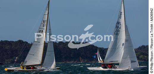 La Semaine du Golfe 2013 - © Philip Plisson / Plisson La Trinité / AA36942 - Photo Galleries - Sailing boat