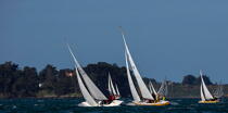 La Semaine du Golfe 2013 © Philip Plisson / Plisson La Trinité / AA36943 - Photo Galleries - Traditional sailing