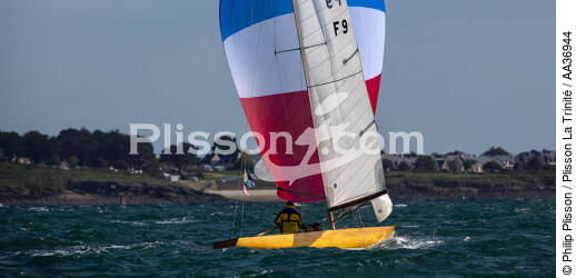 La Semaine du Golfe 2013 - © Philip Plisson / Plisson La Trinité / AA36944 - Photo Galleries - Sailing boat