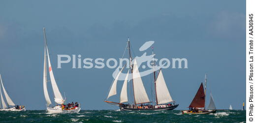 La Semaine du Golfe 2013 - © Philip Plisson / Plisson La Trinité / AA36945 - Photo Galleries - Morbihan [The gulf of the]