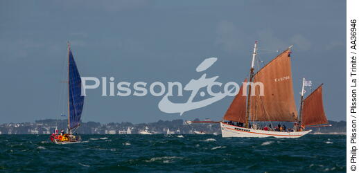 La Semaine du Golfe 2013 - © Philip Plisson / Plisson La Trinité / AA36946 - Photo Galleries - Traditional sailing