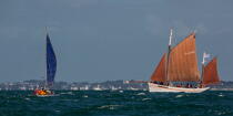 La Semaine du Golfe 2013 © Philip Plisson / Plisson La Trinité / AA36946 - Photo Galleries - Traditional sailing