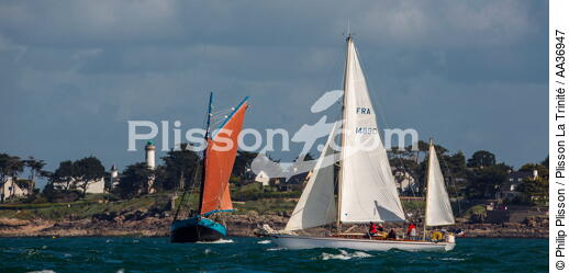 La Semaine du Golfe 2013 - © Philip Plisson / Plisson La Trinité / AA36947 - Photo Galleries - Traditional sailing