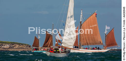 La Semaine du Golfe 2013 - © Philip Plisson / Plisson La Trinité / AA36948 - Photo Galleries - Sailing boat