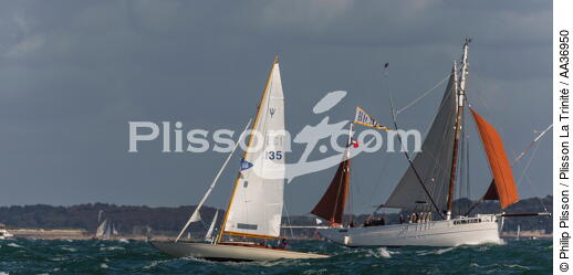 La Semaine du Golfe 2013 - © Philip Plisson / Plisson La Trinité / AA36950 - Photo Galleries - Sailing boat