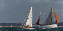 La Semaine du Golfe 2013 © Philip Plisson / Plisson La Trinité / AA36950 - Photo Galleries - Sailing boat