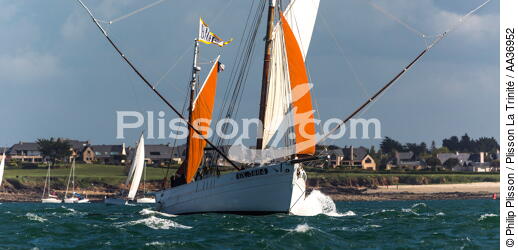 La Semaine du Golfe 2013 - © Philip Plisson / Plisson La Trinité / AA36952 - Photo Galleries - Traditional sailing